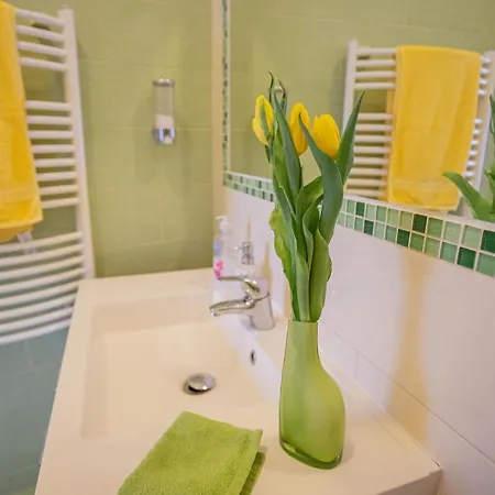 Molnar 20 * بودابست